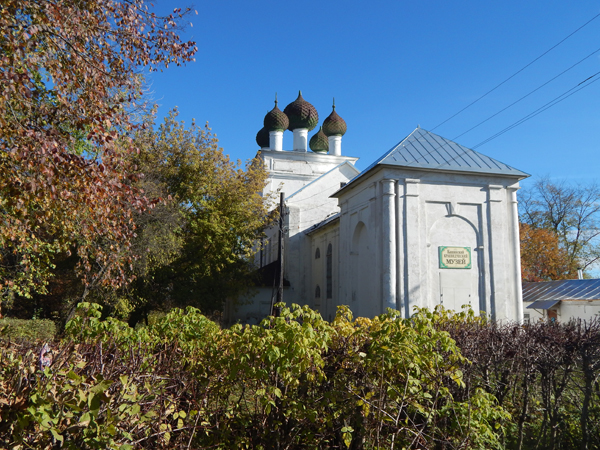 kashin7