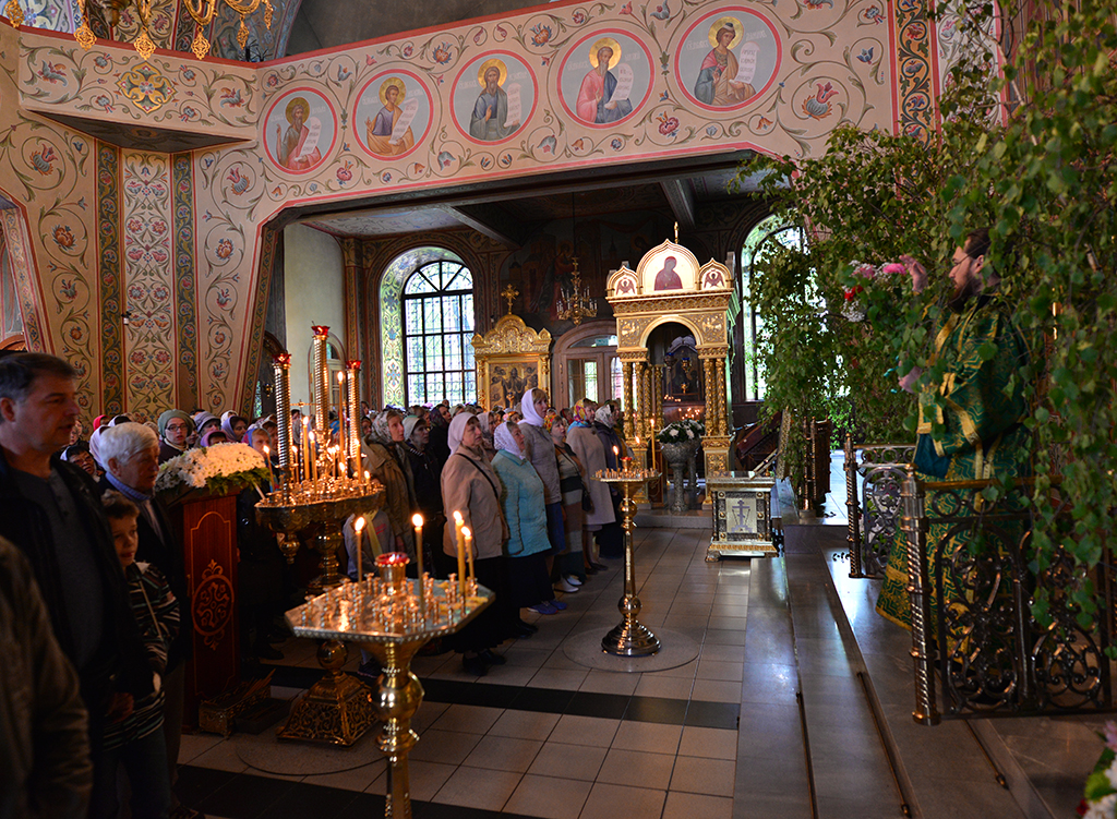 DSC_89141.jpg DSC_89141.jpg