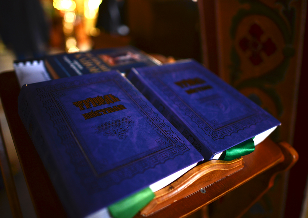 DSC_1428.JPG DSC_1428.JPG