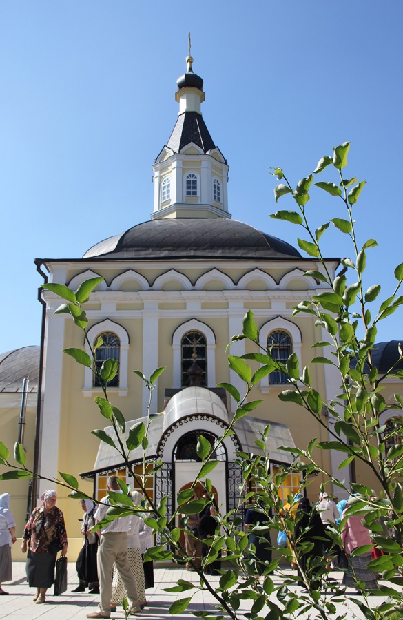 IMG_9100.jpg