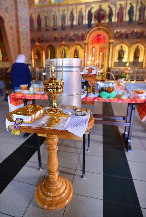 1 DSC_7087.jpg