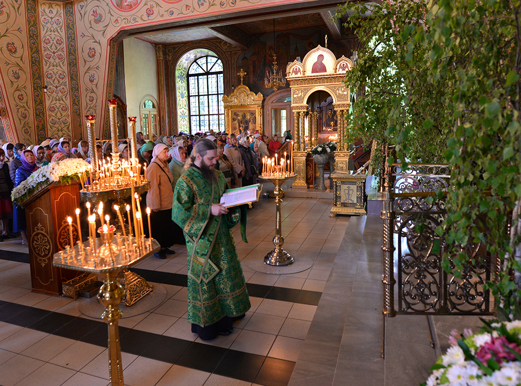 DSC_88881.jpg DSC_88881.jpg