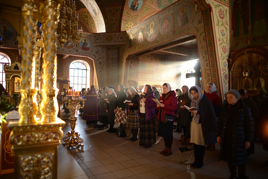 DSC_1460.JPG DSC_1460.JPG