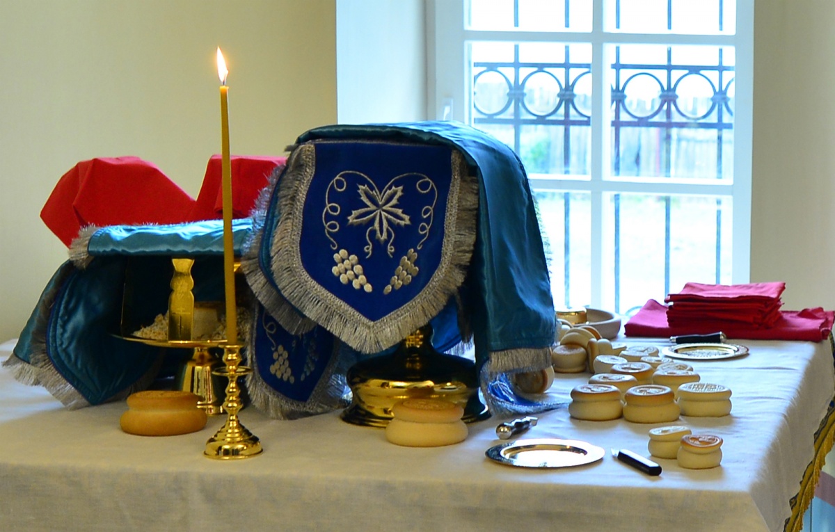 4 DSC_5582.jpg 4 DSC_5582.jpg