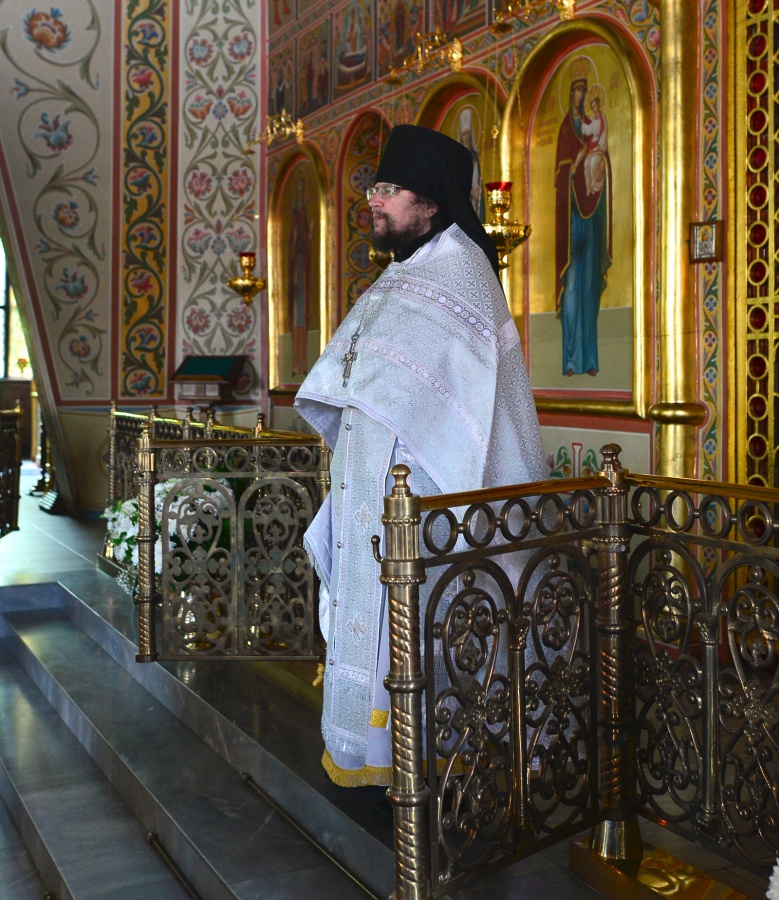 DSC_47741.jpg DSC_47741.jpg