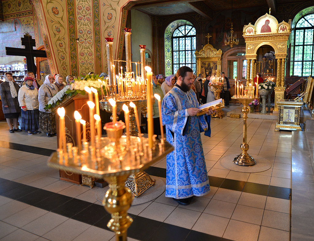 DSC_2159.jpg DSC_2159.jpg