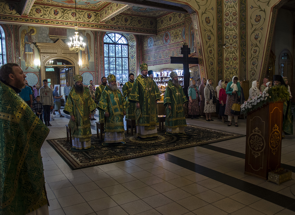 _DSC2389a_.jpg