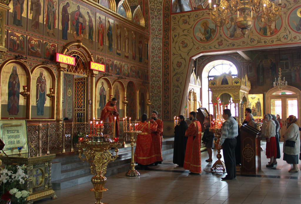 IMG_7593.JPG