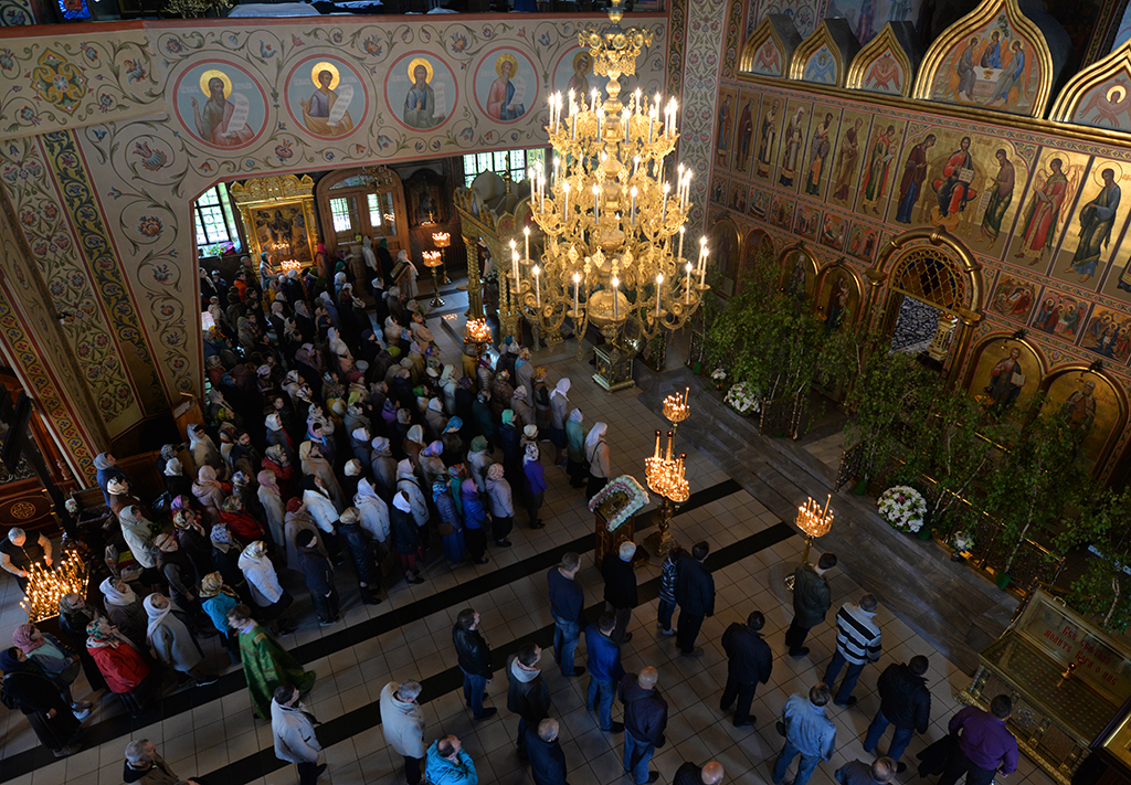DSC_88841.jpg DSC_88841.jpg