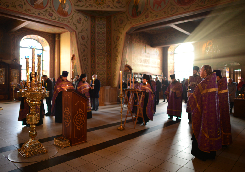 DSC_1484.JPG DSC_1484.JPG