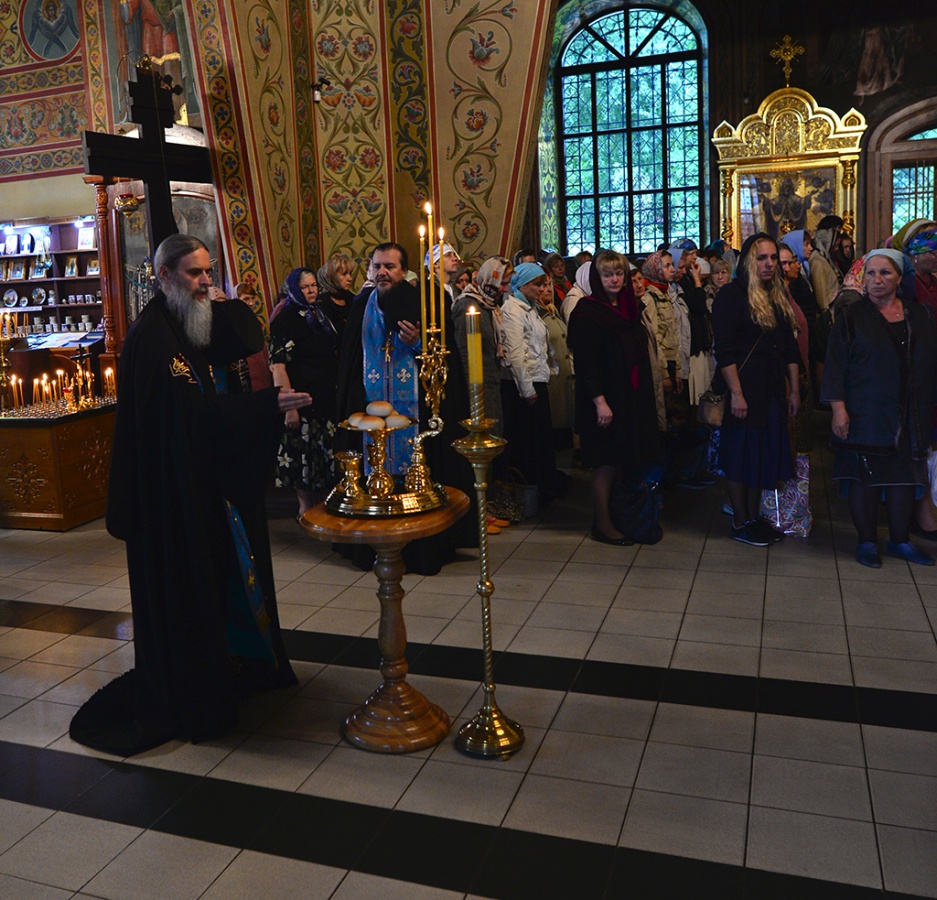 DSC_0969.jpg DSC_0969.jpg