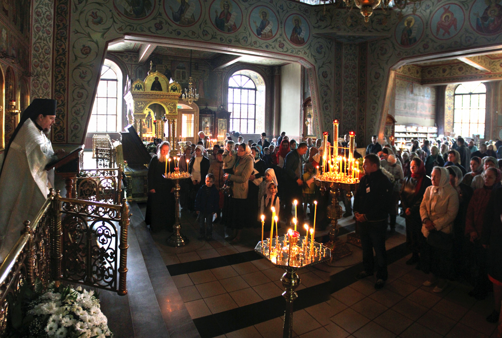 IMG_78791234.jpg