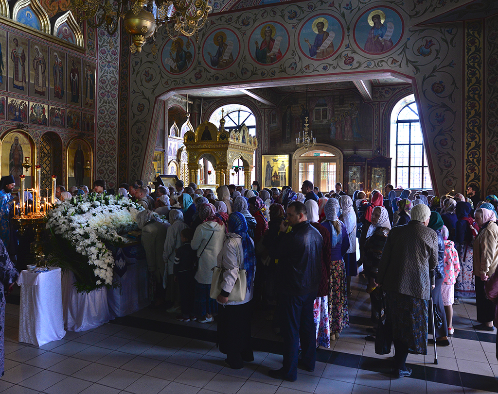DSC_1077.jpg DSC_1077.jpg