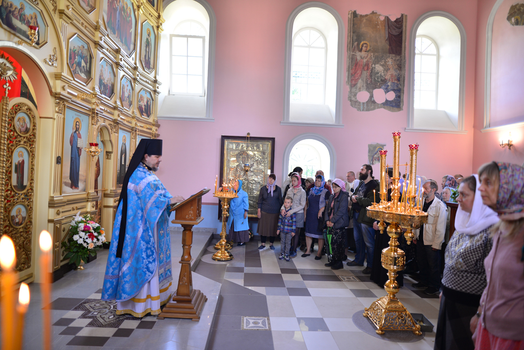 DSC_91741.jpg DSC_91741.jpg