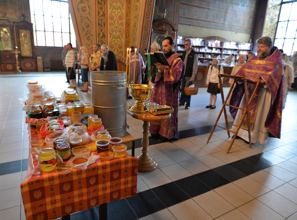 DSC_05651.jpg DSC_05651.jpg